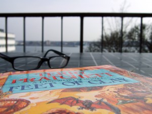 Mein Ausblick